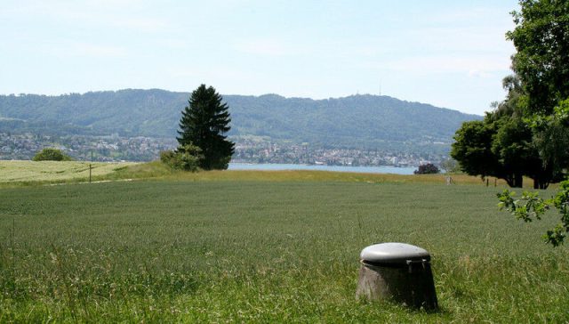 Terras agrícolas ou florestas? Os pesquisadores encontraram anfípodes com menos frequência nas águas subterrâneas e