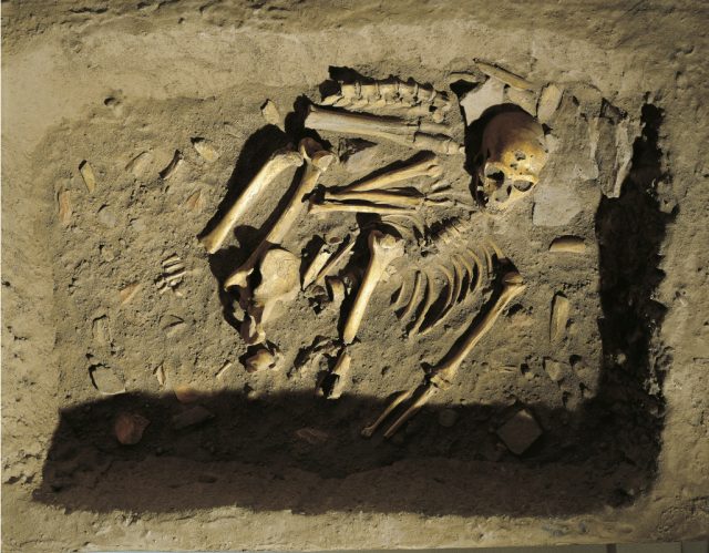 Reconstruction of burial of Neanderthal Man (Homo sapiens neanderthalensis) at La Chapelle-aux-Saints, France.