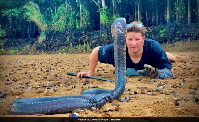 Steve Irwin da África do Sul, Graham 'Dingo' Dinkelman, morre após picada de cobra