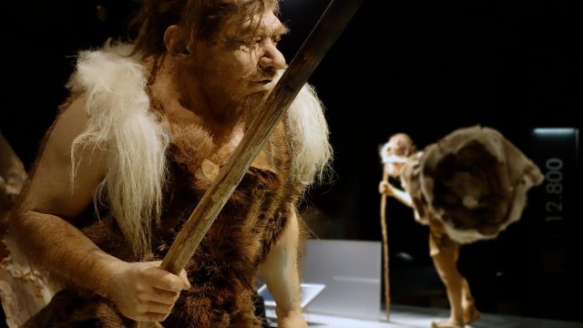 Os Neandertais usavam roupas?
