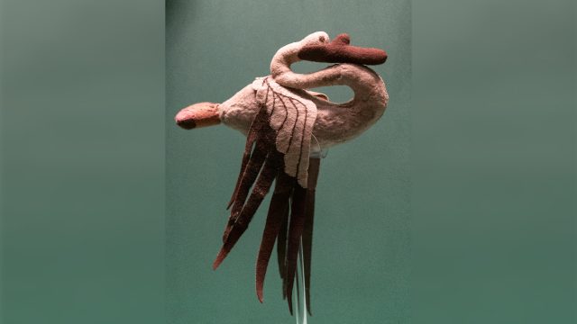 Cisne Pazyryk: um cisne de pelúcia de 2.300 anos da Sibéria ligado à ‘criação do universo’
