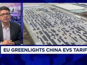 China EV makers will swallow tariff costs in short term as they 'don't really have a choice'