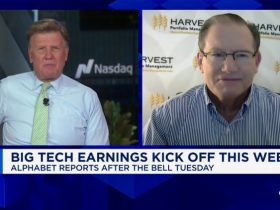 Waymo will lead autonomous driving, not Tesla: Harvest's Paul Meeks