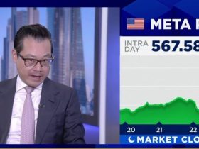 Meta is 'net winner' on AI spending, says Stephen Yiu of Blue Whale Growth Fund