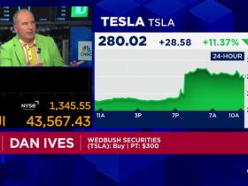 Elon Musk's big bet on Trump is a home run for Tesla, says Wedbush's Dan Ives