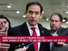 Trump taps Marco Rubio as his pick for secretary of state