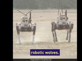 China's Robot Wolves Can Jump, Climb, Back-Flip Through Difficult Terrains