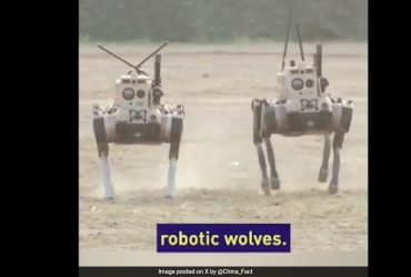 China's Robot Wolves Can Jump, Climb, Back-Flip Through Difficult Terrains