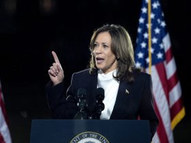 Trump's Violent Rhetoric Disqualifying For US Presidency: Kamala Harris