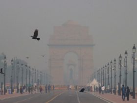 Delhi's Hazardous Air Quality Key Focus At COP29