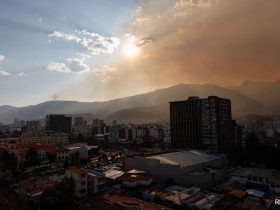 Ecuador Declares National Emergency Over Forest Fires, Water Shortage