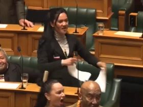 New Zealand MP Leads Traditional Dance, Rips Up Copy Of Bill In Parliament