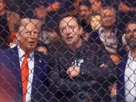 Watch: Donald Trump, Elon Musk In Front-Row Seats At UFC Event