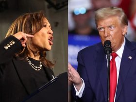 Kamala Harris, Donald Trump's Last-Mile Push Ahead Of US Election: 10 Facts