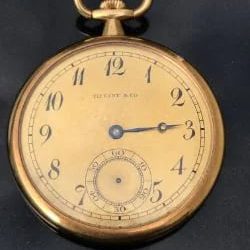 Gold Watch Of Captain Who Saved 700 Titanic Passengers Sells For $1.96 million