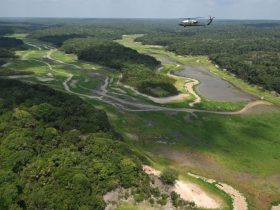 Climate Change Threatens Amazon Rainforest As Sand Dunes Appear