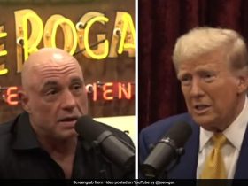 Joe Rogan Endorses Donald Trump On Eve Of US Election