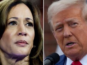 Trump, Kamala Harris Agree On Importance Of