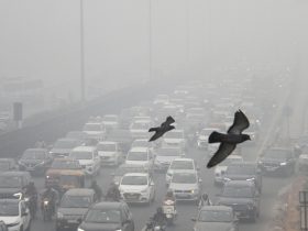 Delhi's Severe Pollution Takes Centre Stage At COP29