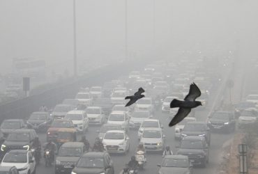 Delhi's Severe Pollution Takes Centre Stage At COP29