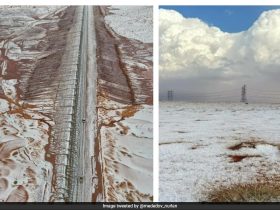 Watch: Saudi Arabian Desert Sees Snowfall For The First Time In History