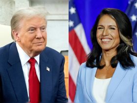 Trump Names Ex-Democrat Tulsi Gabbard As Director of National Intelligence