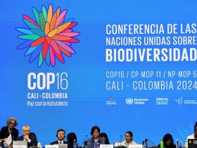 COP16 Summit Ends Without Funding Roadmap, Set To Reconvene On Key Issues