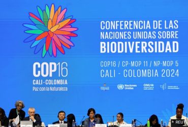 COP16 Summit Ends Without Funding Roadmap, Set To Reconvene On Key Issues