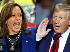 Do US Voters Favour Kamala Harris Or Donald Trump? Exit Polls Say...