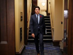 India A "Cyber Adversary", Says Trudeau Government, New Delhi Shreds Claim