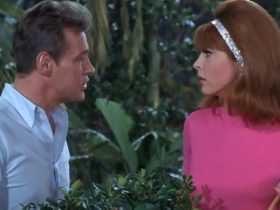 The Professor and Ginger standing behind a bush and looking at one another on Gilligan's Island