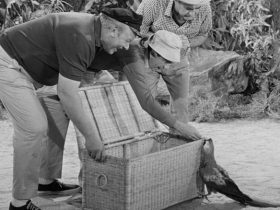 The Skipper, Gilligan, and Mr. Howell feeding a macaw in Gilligan's Island