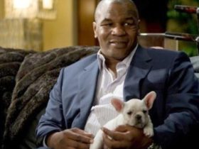 Mike Tyson with a dog during his cameo in The Hangover