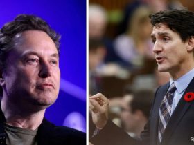 Elon Musk Replies To 'We Need Your Help Removing Trudeau' Post