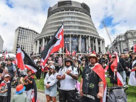 Why 35,000 Marched On New Zealand Streets To Protest For Maori Rights