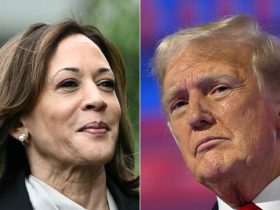 US Election 2024: Donald Trump Leads Kamala Harris In All Swing States