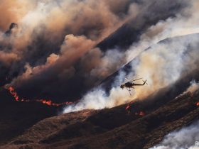 Thousands Flee Out-Of-Control California Wildfire As Homes Burn