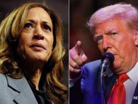 Kamala Harris, Donald Trump Make Final Pitch To Voters