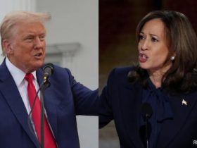 US Election 2024: Kamala Harris And Donald Trump Embark On Final Campaign