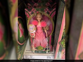 Barbie Maker Mistakenly Prints Porn Site Address On Dolls Package. Apologises