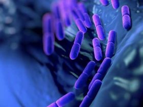 Developing Countries More Vulnerable To Antimicrobial Resistance: WHO