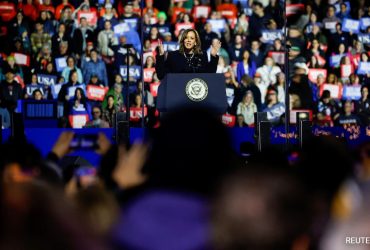 Explained: Why Kamala Harris's Historic White House Bid Fell Short