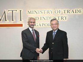 Foreign Minister S Jaishankar Discusses Ties With Singapore's Deputy PM