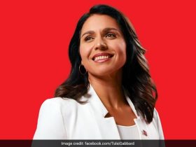 Who Is Tulsi Gabbard, US Intel Chief Who Will Oversee 18 Spy Agencies