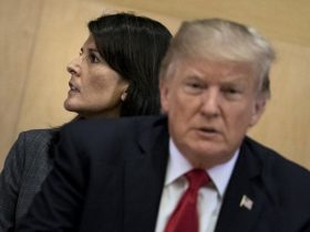 Donald Trump Is "Clearly Better Choice" Over Kamala Harris: Nikki Haley