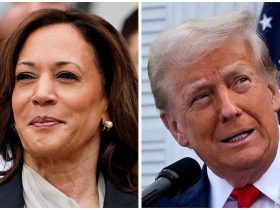 Trump-Harris Showdown Revives Debate On US' Electoral College