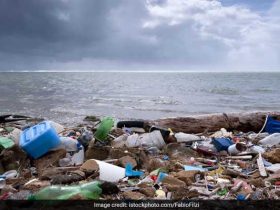 Cleaning Up Pristine Beaches Means Spotting Plastic Trash From Space