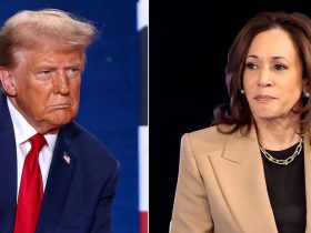 US Elections: 60 Million Cast Early Votes In Kamala Harris-Trump Tight Race