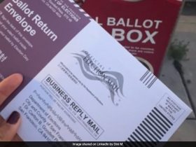 Indian-Origin Woman Living In US For 20 Years Votes For First Time