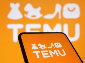 EU Agency Launches Probe Into Chinese App Temu Over Illegal Products